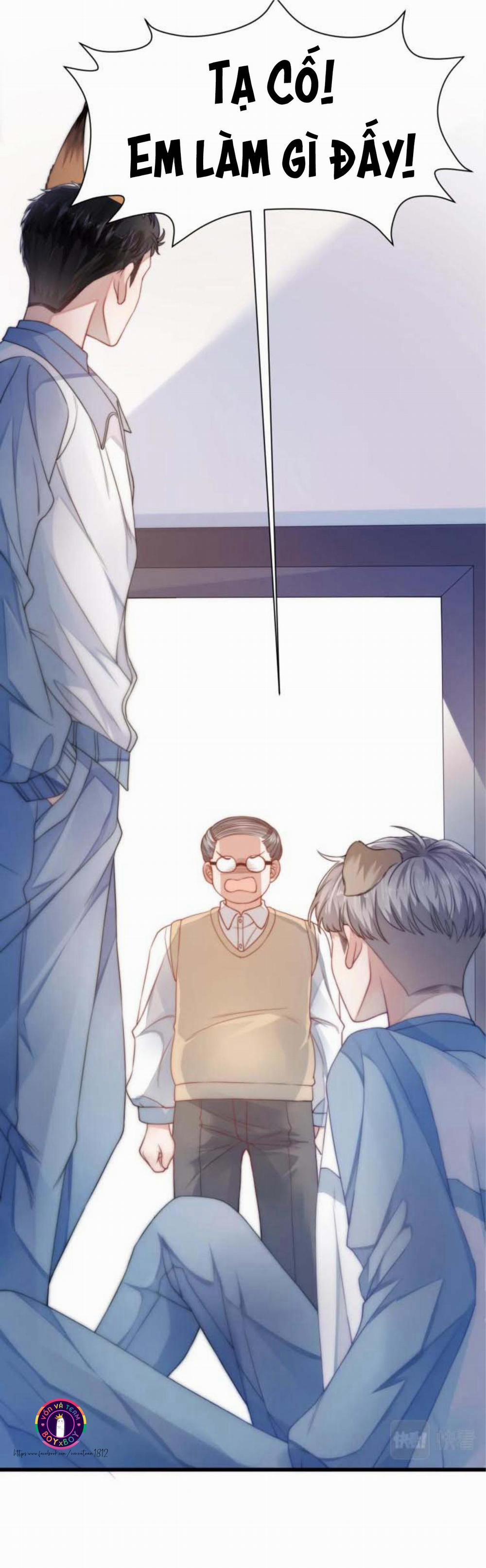 Mèo Hoang Nhỏ Của Học Bá Quá Trêu Người (END) 1 trang 10