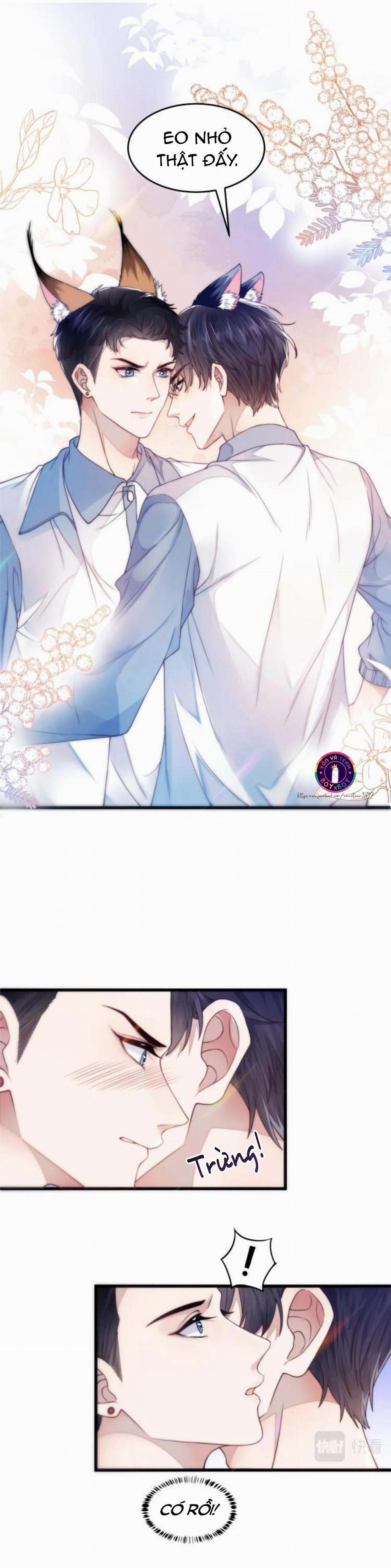 Mèo Hoang Nhỏ Của Học Bá Quá Trêu Người (END) 1 trang 19