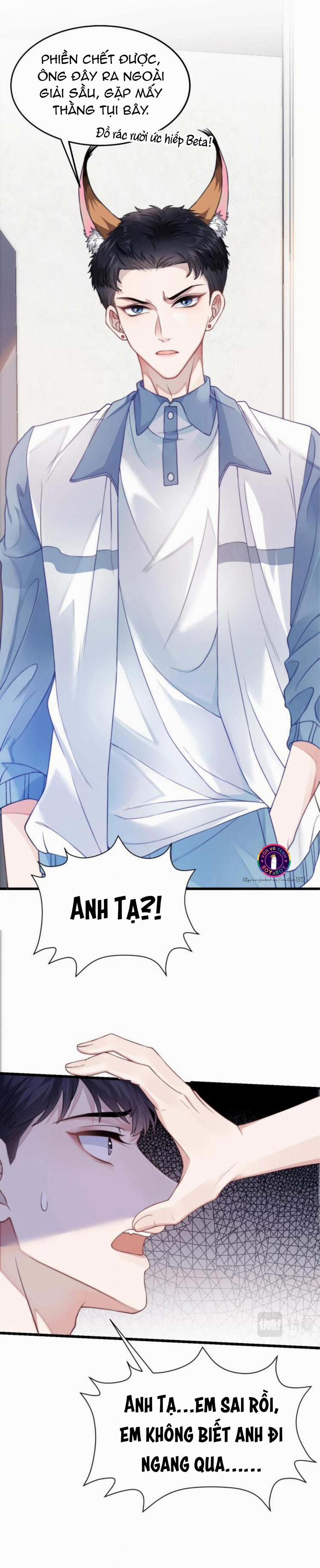 Mèo Hoang Nhỏ Của Học Bá Quá Trêu Người (END) 1 trang 7