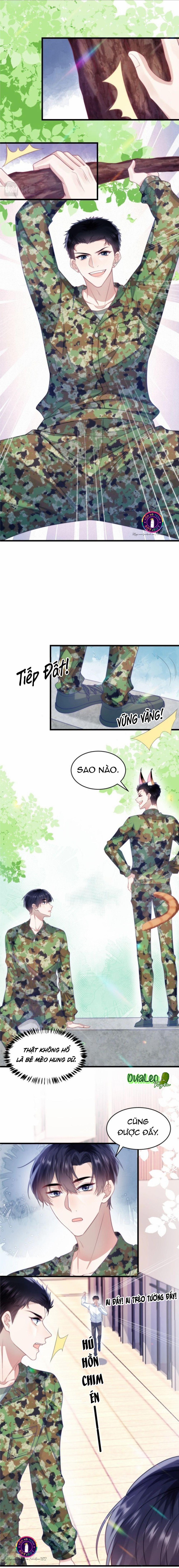 Mèo Hoang Nhỏ Của Học Bá Quá Trêu Người (END) 12 trang 3