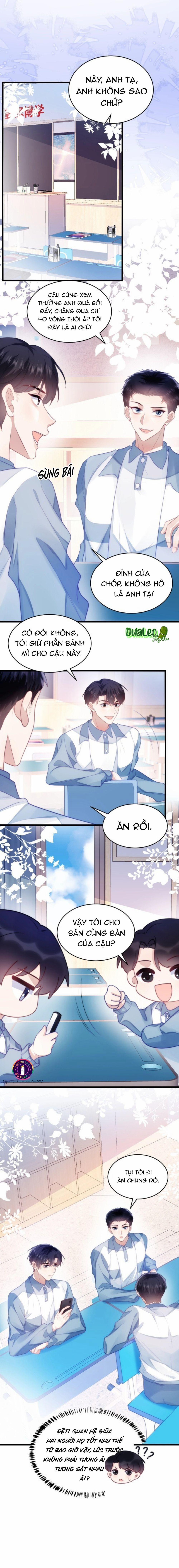 Mèo Hoang Nhỏ Của Học Bá Quá Trêu Người (END) 13 trang 1