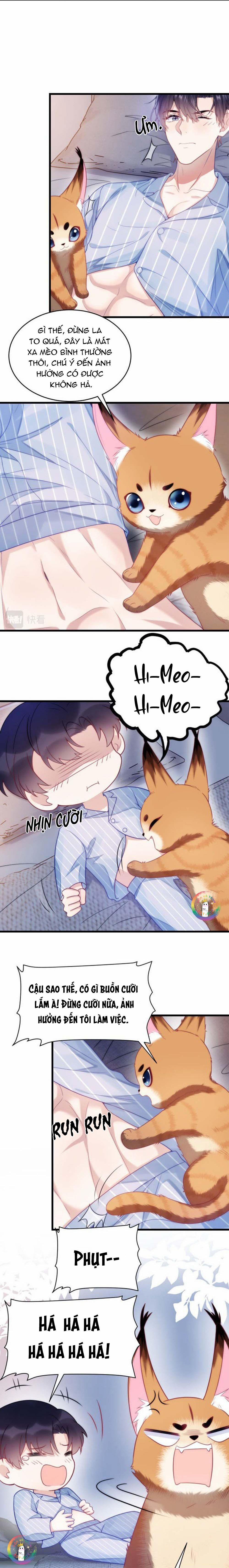 Mèo Hoang Nhỏ Của Học Bá Quá Trêu Người (END) 17 trang 1