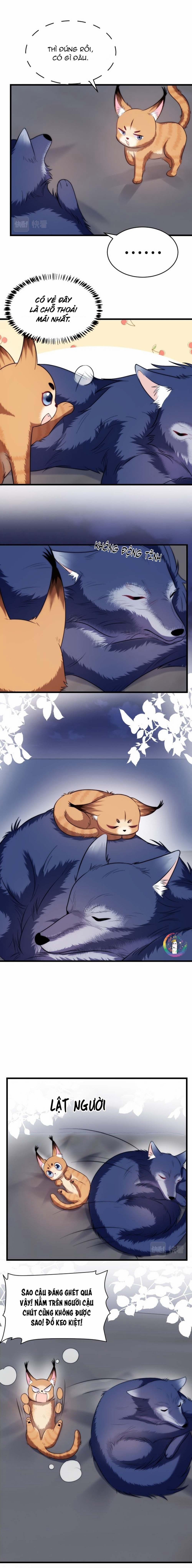 Mèo Hoang Nhỏ Của Học Bá Quá Trêu Người (END) 19 trang 2