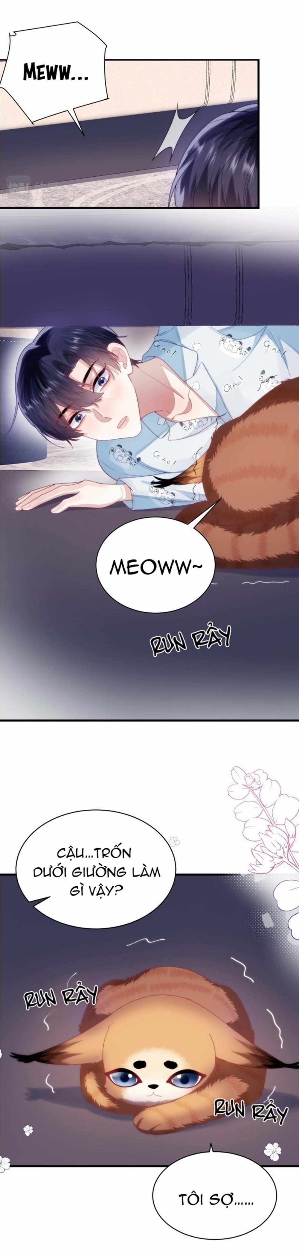 Mèo Hoang Nhỏ Của Học Bá Quá Trêu Người (END) 28 trang 14