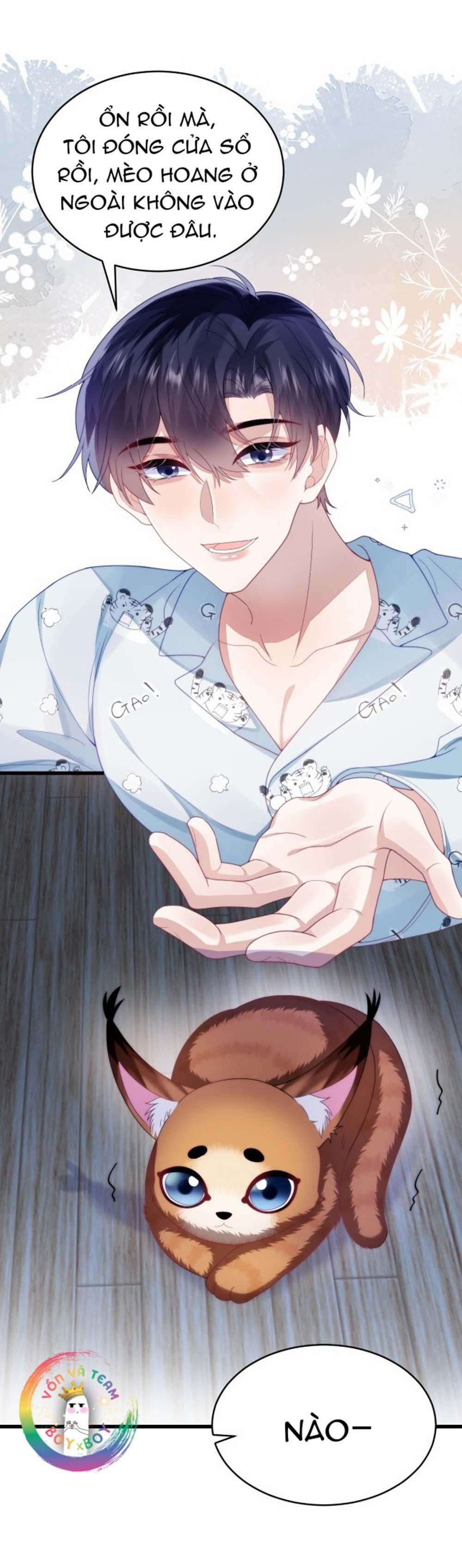 Mèo Hoang Nhỏ Của Học Bá Quá Trêu Người (END) 28 trang 15