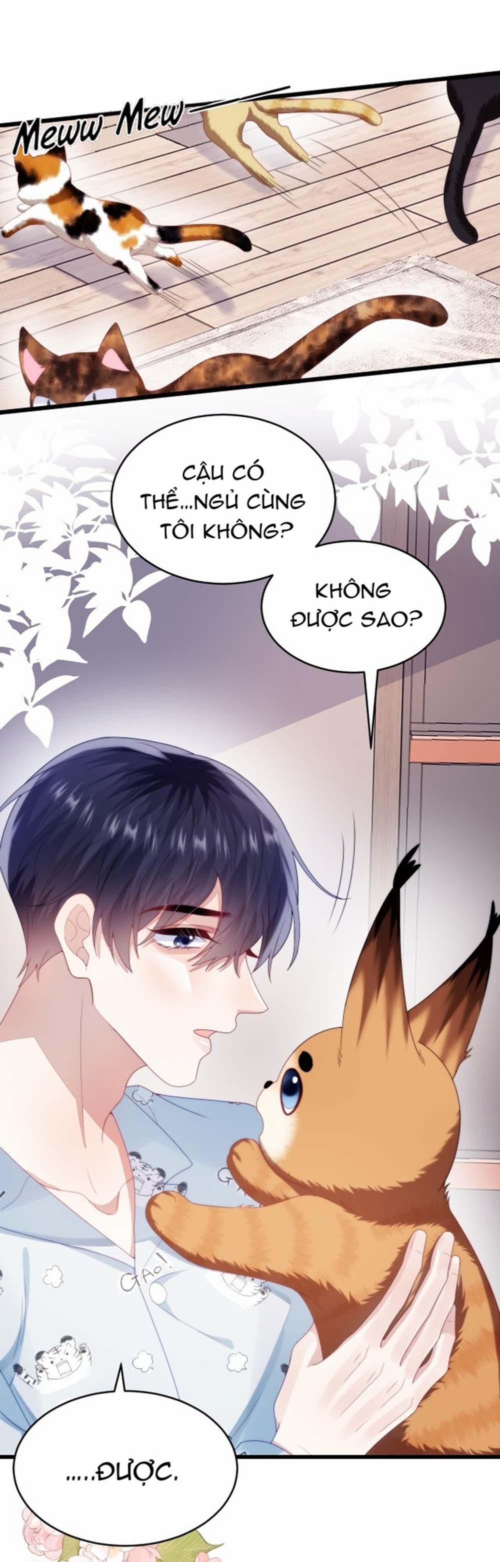 Mèo Hoang Nhỏ Của Học Bá Quá Trêu Người (END) 28 trang 18