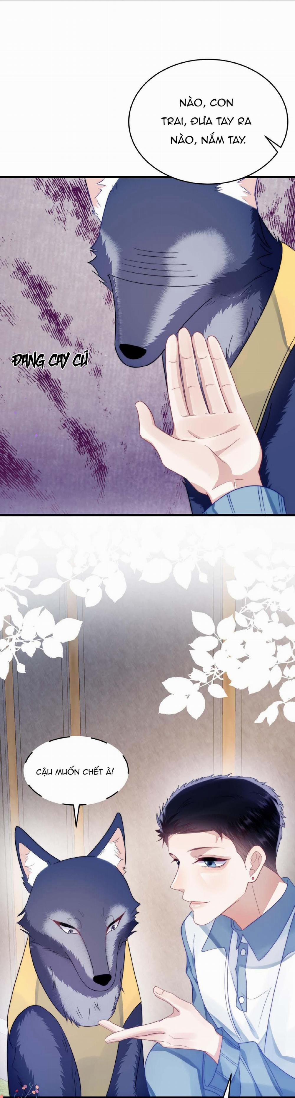 Mèo Hoang Nhỏ Của Học Bá Quá Trêu Người (END) 33 trang 10