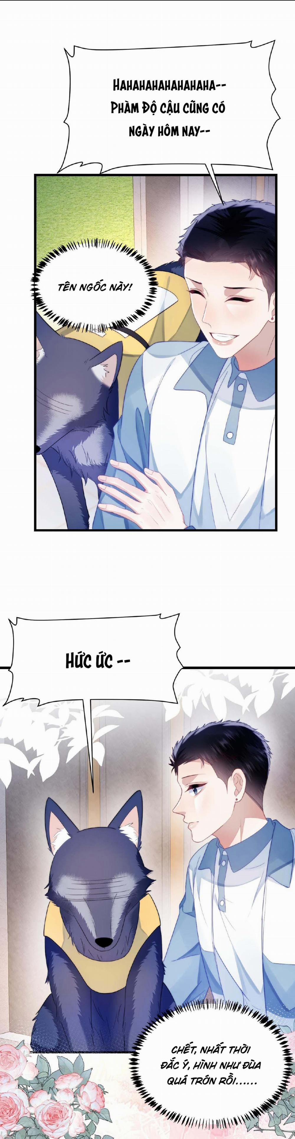 Mèo Hoang Nhỏ Của Học Bá Quá Trêu Người (END) 33 trang 12