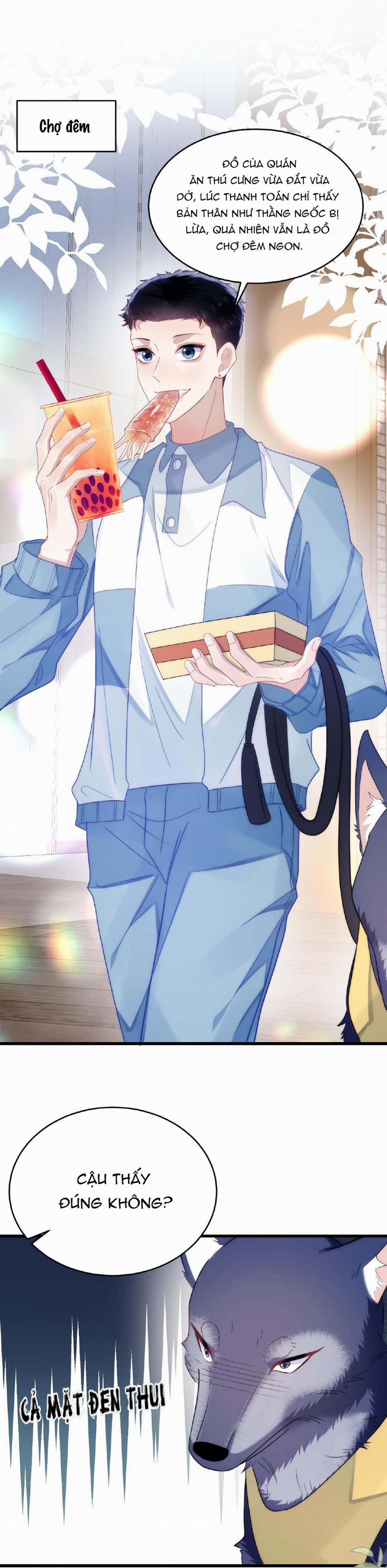 Mèo Hoang Nhỏ Của Học Bá Quá Trêu Người (END) 33 trang 16