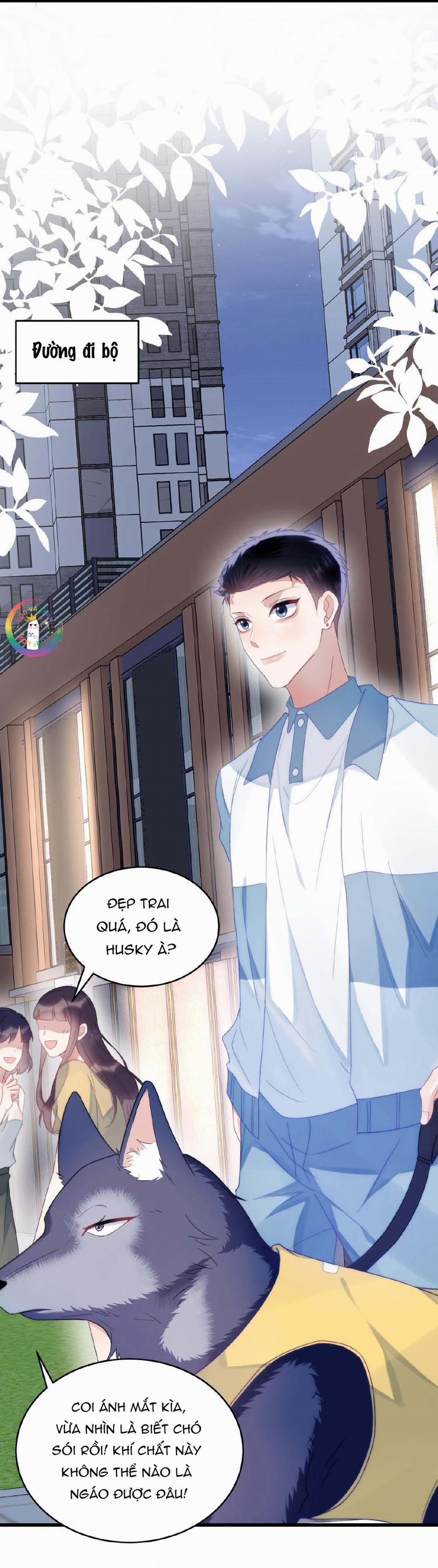 Mèo Hoang Nhỏ Của Học Bá Quá Trêu Người (END) 33 trang 5