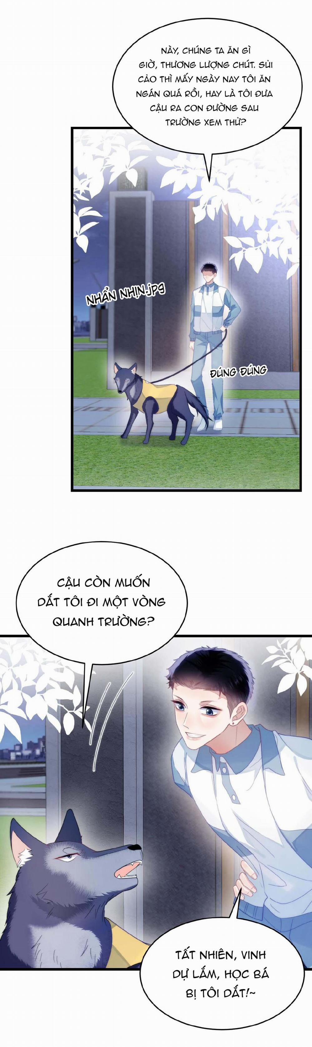 Mèo Hoang Nhỏ Của Học Bá Quá Trêu Người (END) 33 trang 6