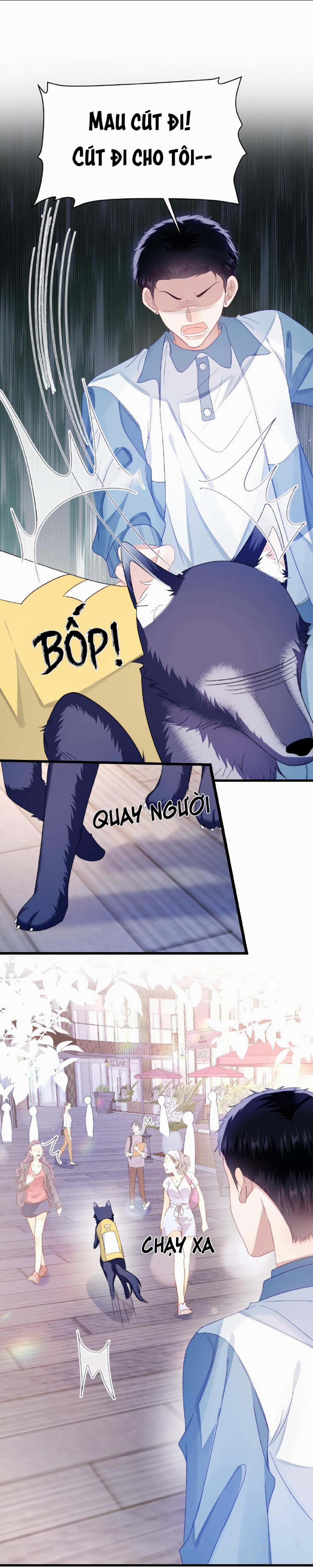 Mèo Hoang Nhỏ Của Học Bá Quá Trêu Người (END) 34 trang 5