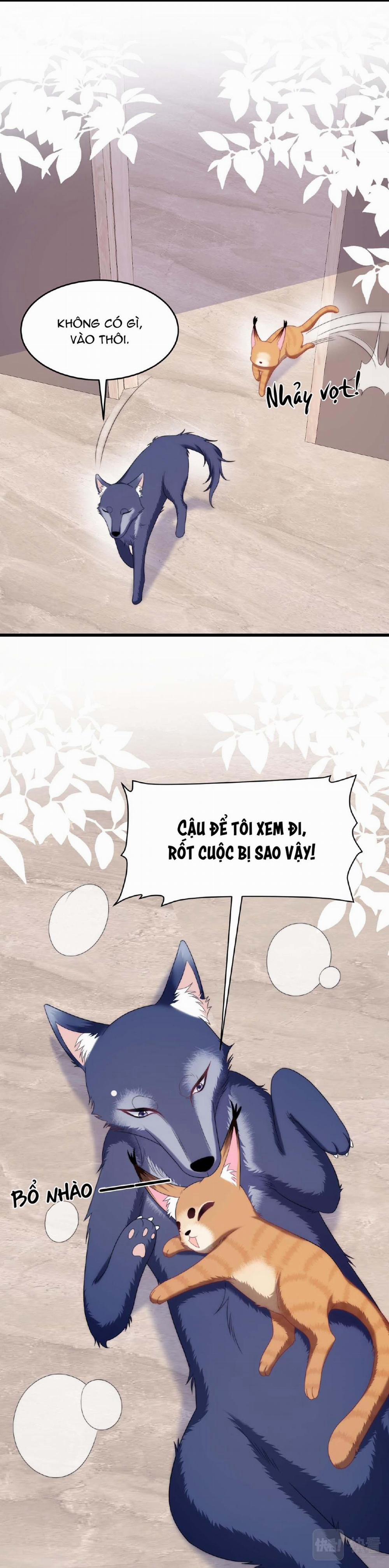 Mèo Hoang Nhỏ Của Học Bá Quá Trêu Người (END) 35 trang 4