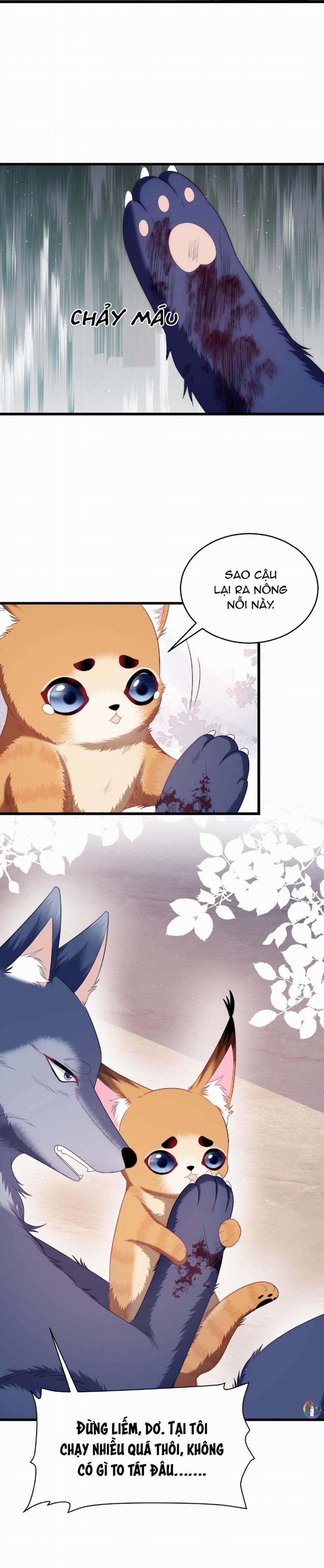 Mèo Hoang Nhỏ Của Học Bá Quá Trêu Người (END) 35 trang 5