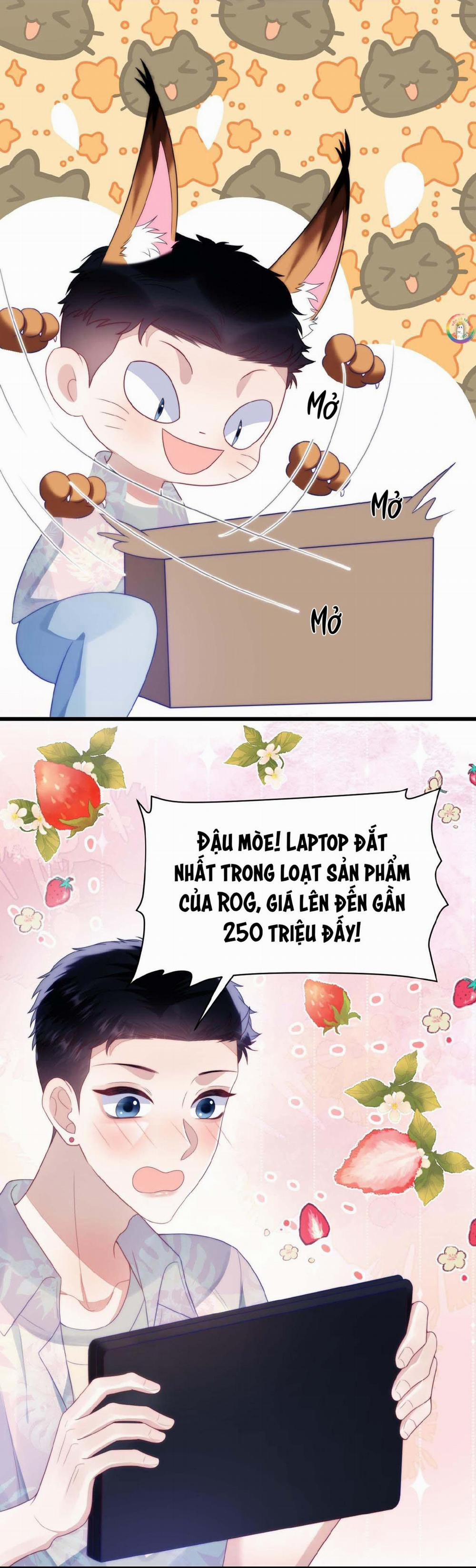 Mèo Hoang Nhỏ Của Học Bá Quá Trêu Người (END) 38 trang 14