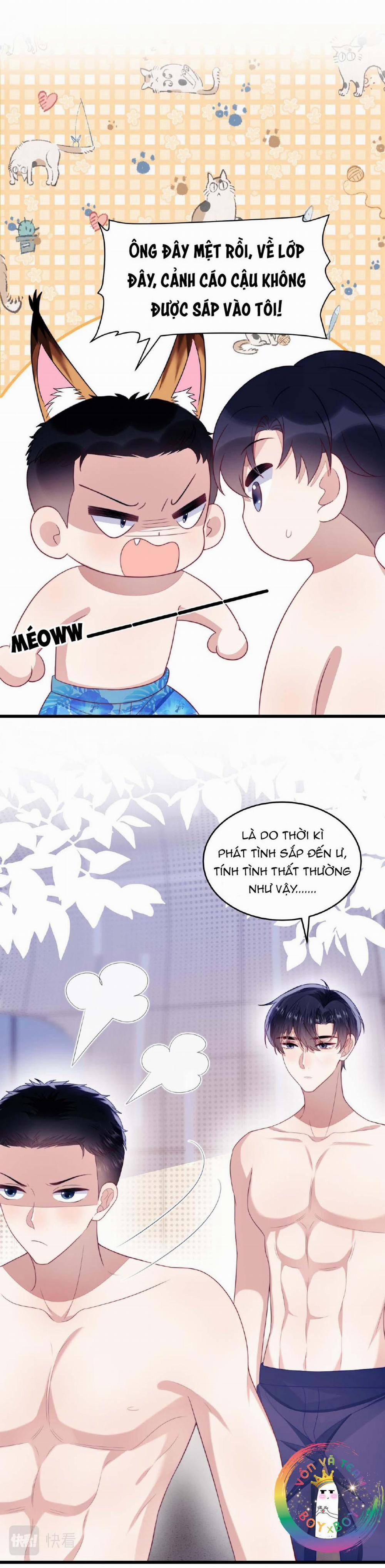 Mèo Hoang Nhỏ Của Học Bá Quá Trêu Người (END) 43 trang 17