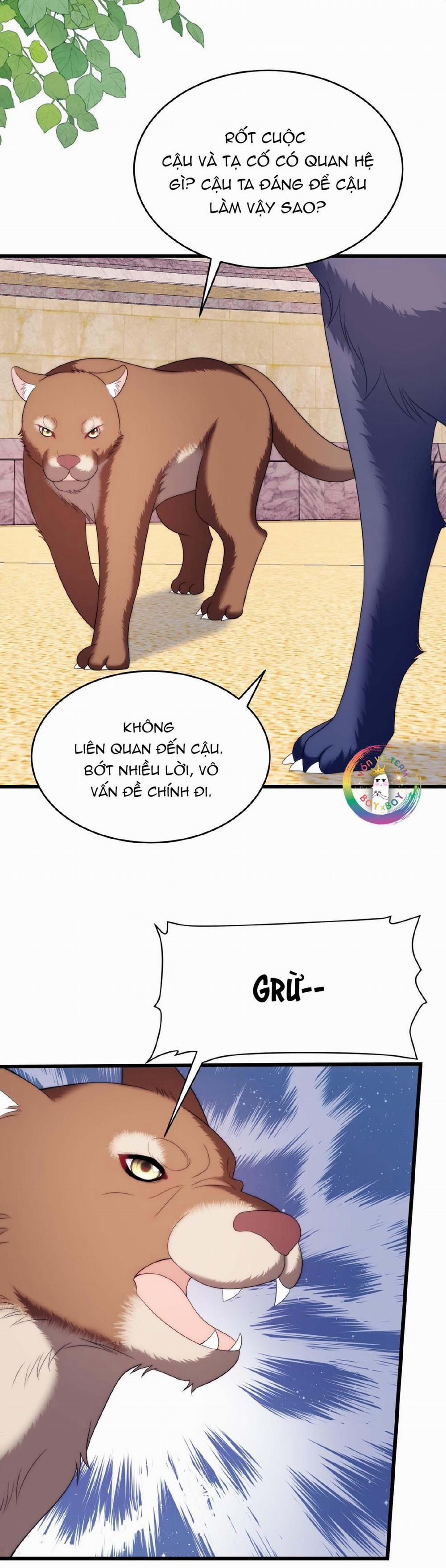 Mèo Hoang Nhỏ Của Học Bá Quá Trêu Người (END) 50 trang 13
