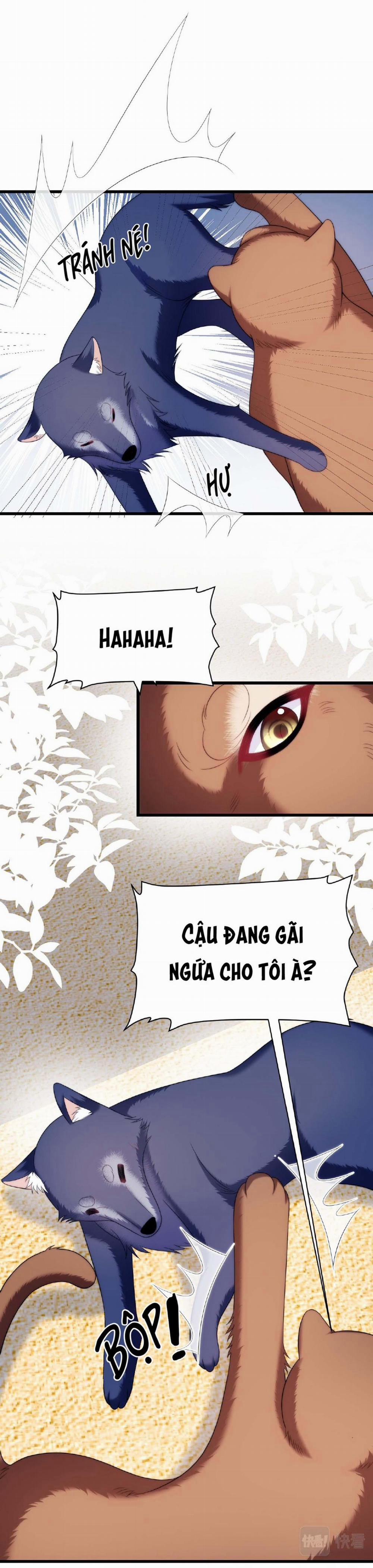 Mèo Hoang Nhỏ Của Học Bá Quá Trêu Người (END) 50 trang 14