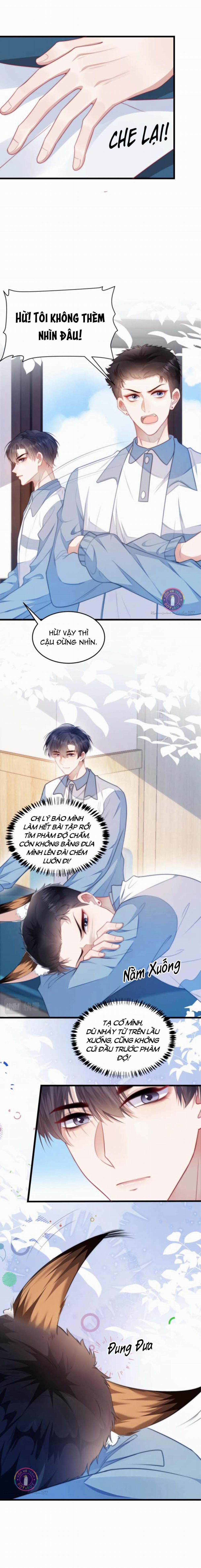 Mèo Hoang Nhỏ Của Học Bá Quá Trêu Người (END) 6 trang 4