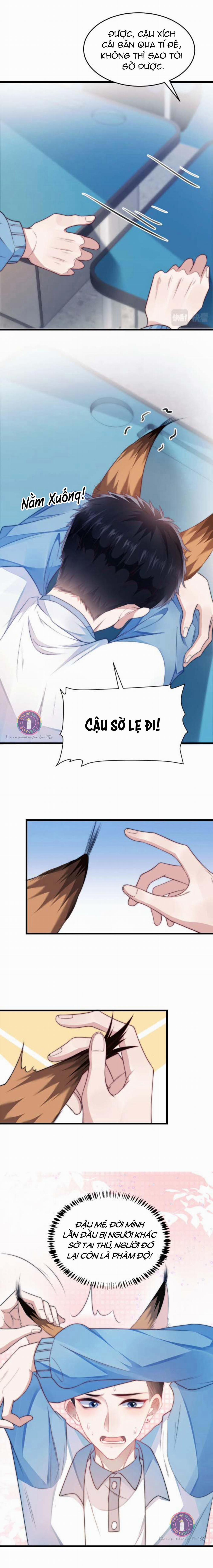 Mèo Hoang Nhỏ Của Học Bá Quá Trêu Người (END) 6 trang 7