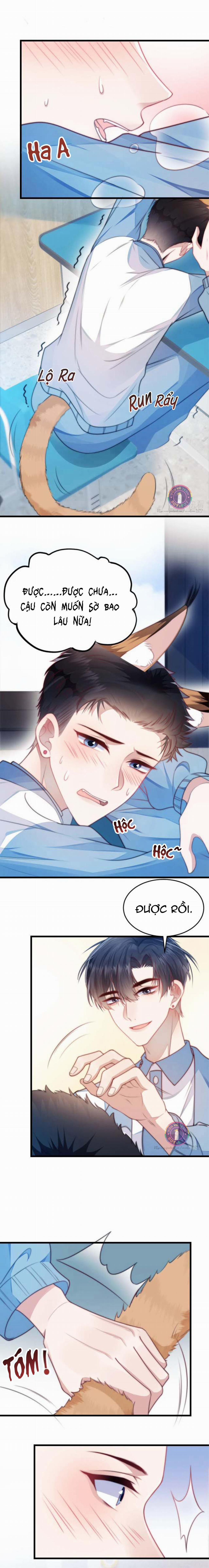 Mèo Hoang Nhỏ Của Học Bá Quá Trêu Người (END) 6 trang 8