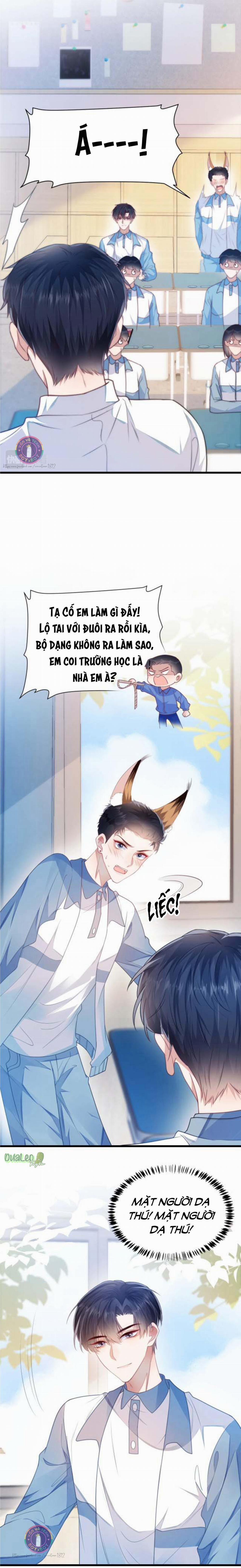 Mèo Hoang Nhỏ Của Học Bá Quá Trêu Người (END) 6 trang 9