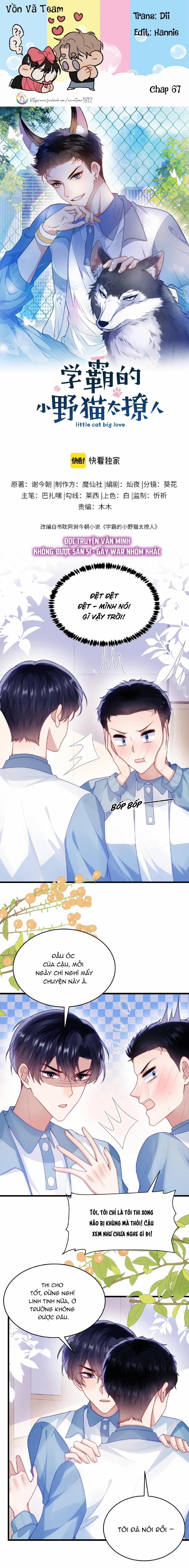 Mèo Hoang Nhỏ Của Học Bá Quá Trêu Người (END) 67 trang 0