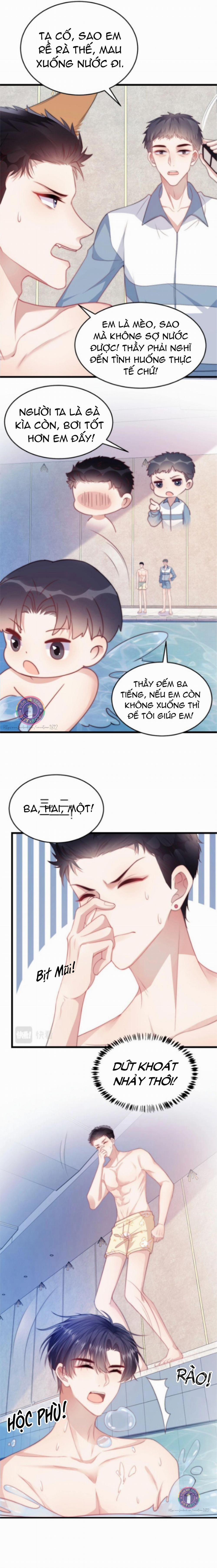 Mèo Hoang Nhỏ Của Học Bá Quá Trêu Người (END) 7 trang 3