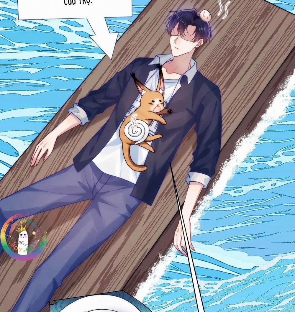 Mèo Hoang Nhỏ Của Học Bá Quá Trêu Người (END) 73 trang 34