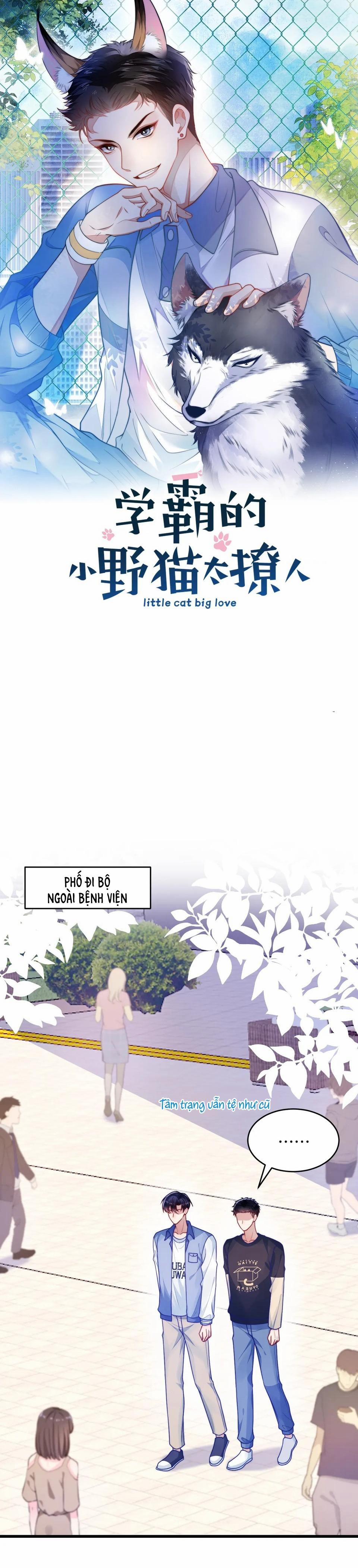 Mèo Hoang Nhỏ Của Học Bá Quá Trêu Người (END) 75 trang 1