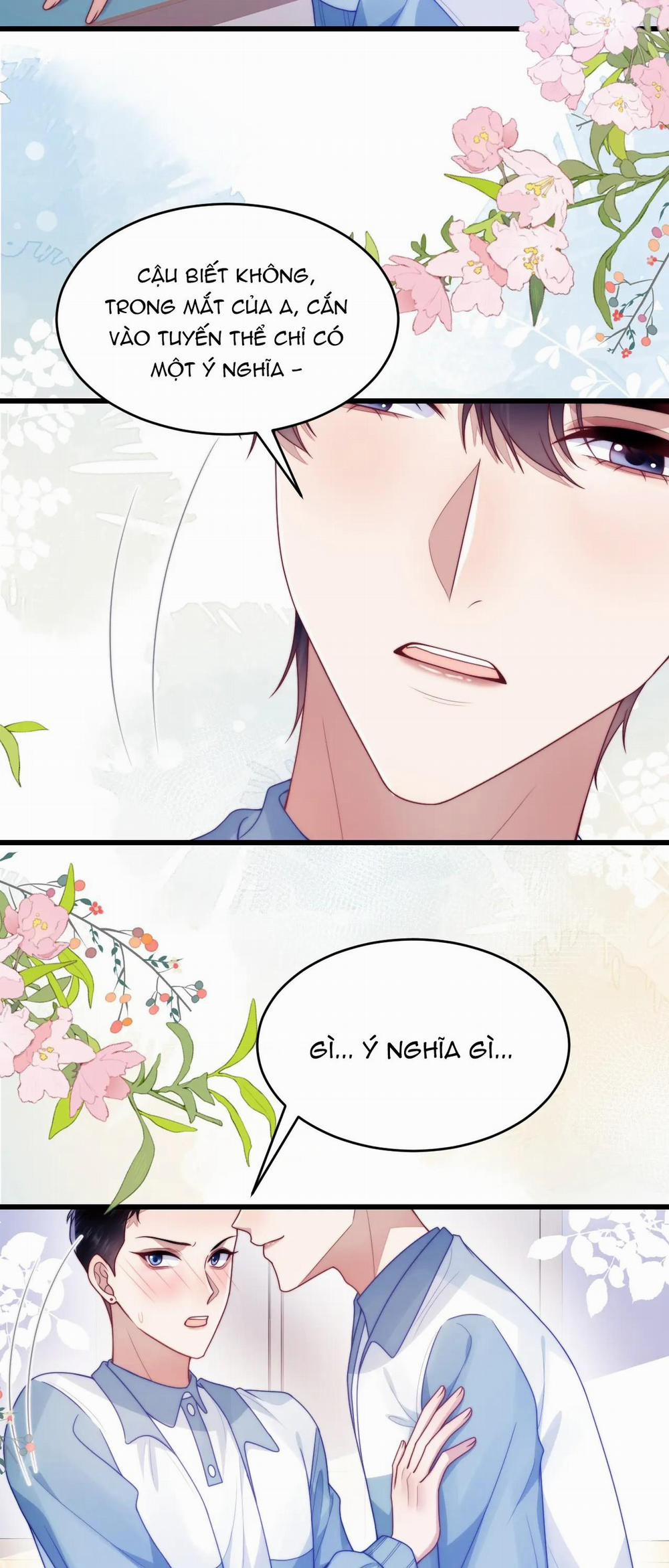 Mèo Hoang Nhỏ Của Học Bá Quá Trêu Người (END) 76 trang 12