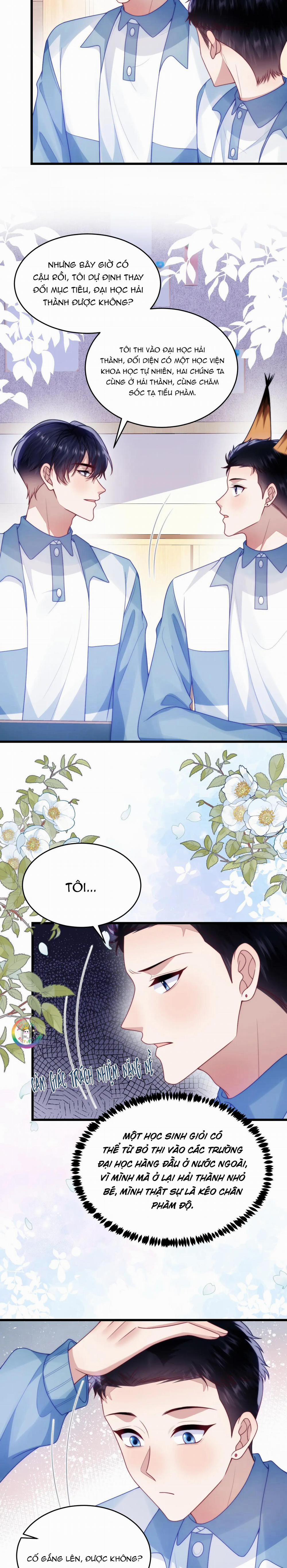 Mèo Hoang Nhỏ Của Học Bá Quá Trêu Người (END) 78 trang 8