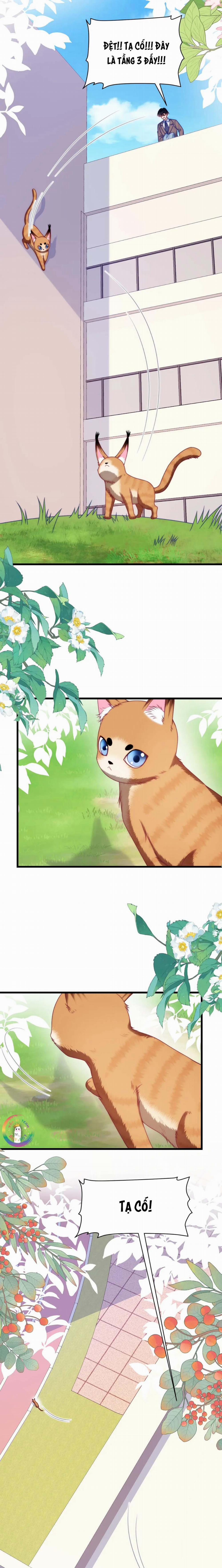 Mèo Hoang Nhỏ Của Học Bá Quá Trêu Người (END) 80 trang 6