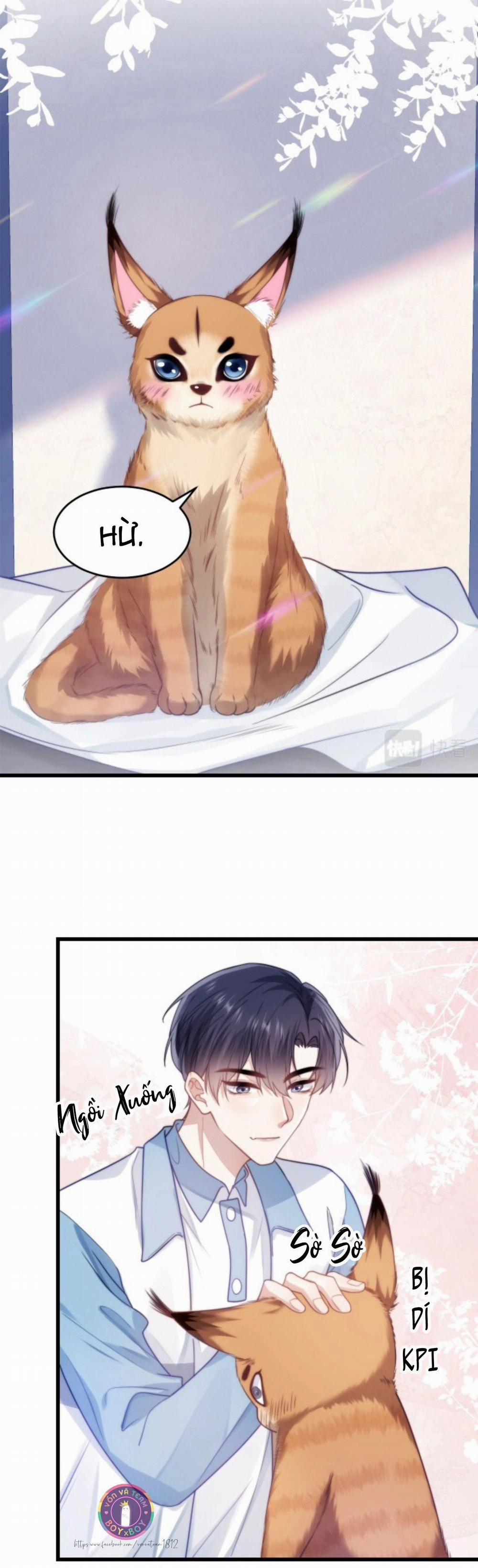 Mèo Hoang Nhỏ Của Học Bá Quá Trêu Người (END) 9 trang 3