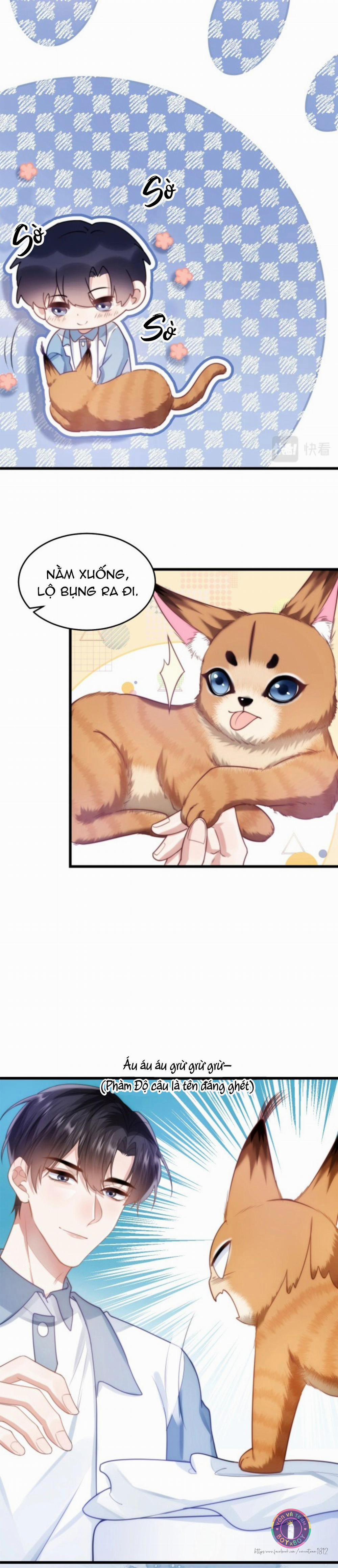 Mèo Hoang Nhỏ Của Học Bá Quá Trêu Người (END) 9 trang 5