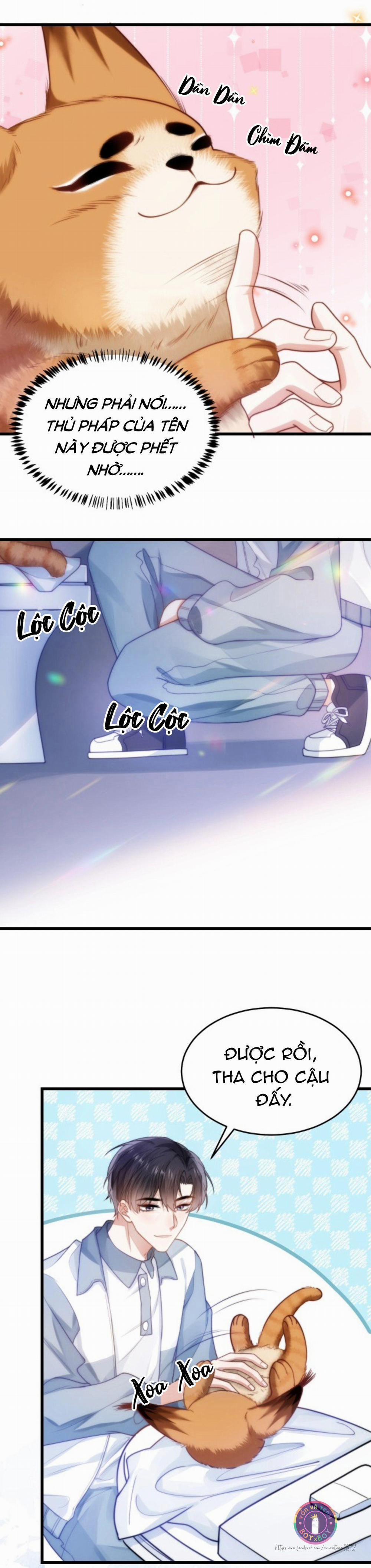 Mèo Hoang Nhỏ Của Học Bá Quá Trêu Người (END) 9 trang 7