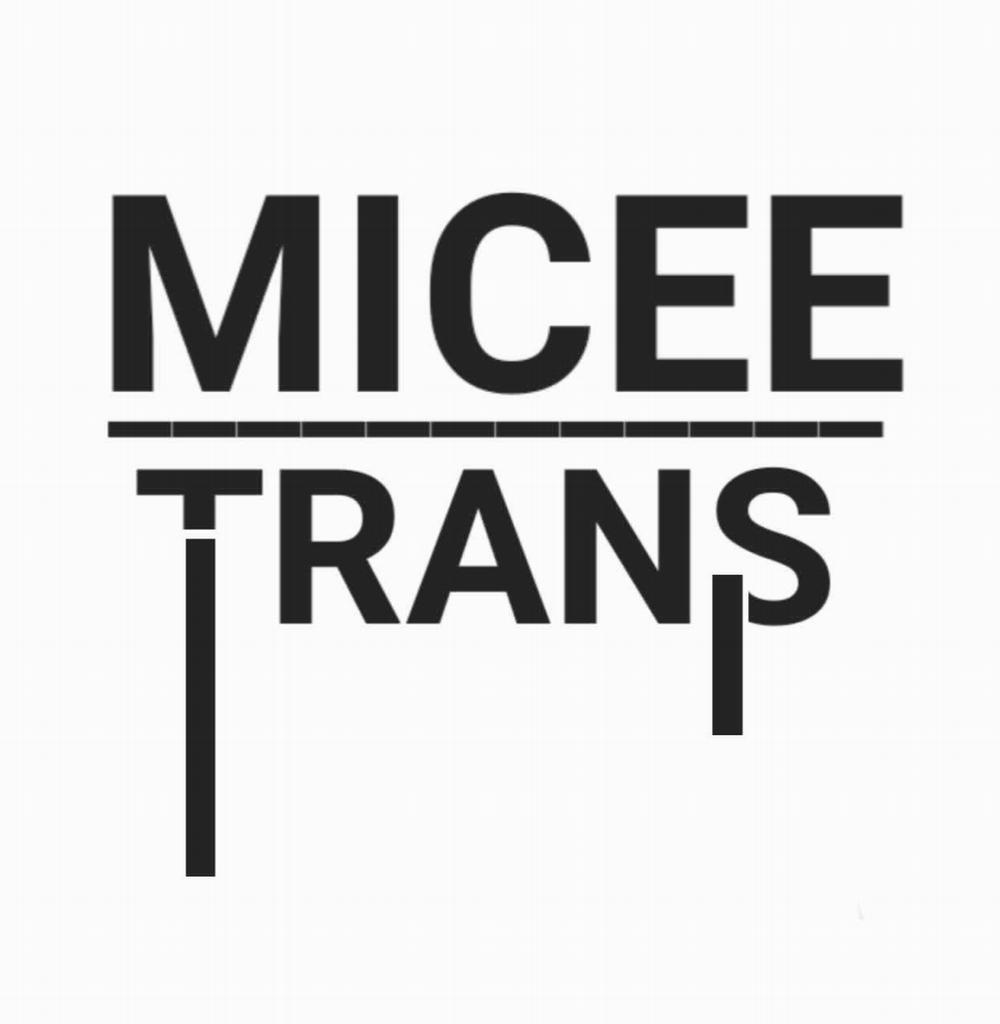 MiceeTrans 6 trang 12