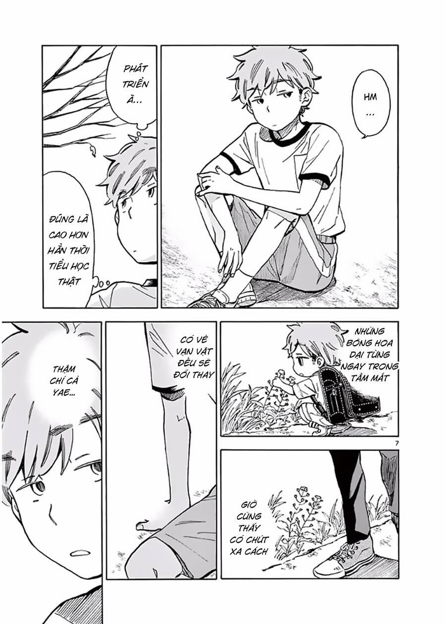 Misoshiru De Kanpai! 23 trang 9