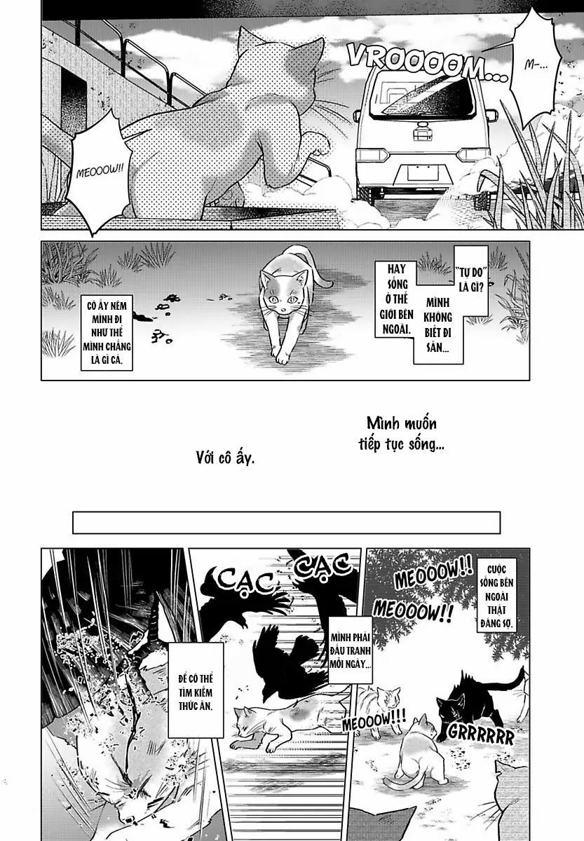 Mofumofu Bakashiai Nikki 3 trang 8