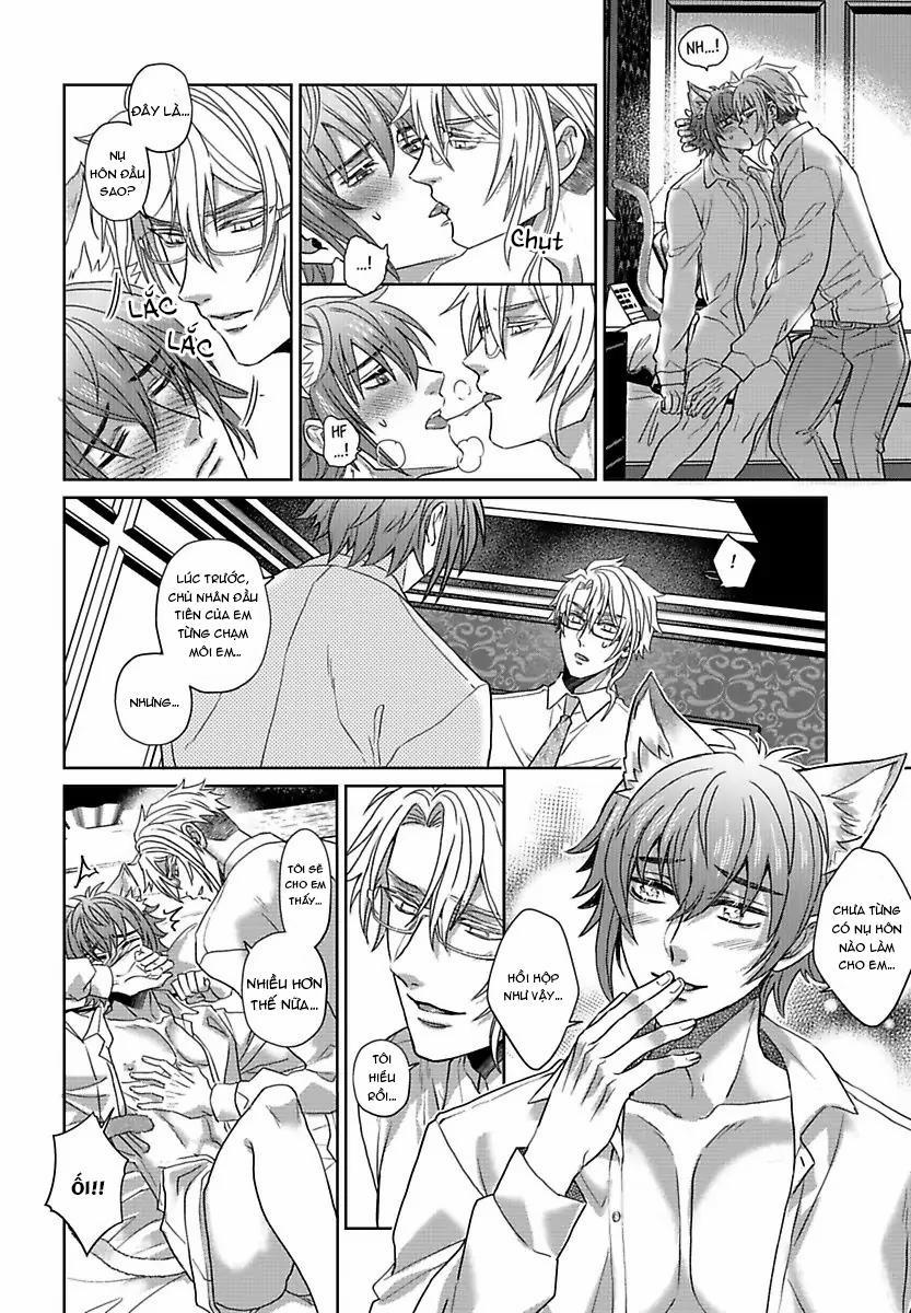 Mofumofu Bakashiai Nikki 4 trang 14