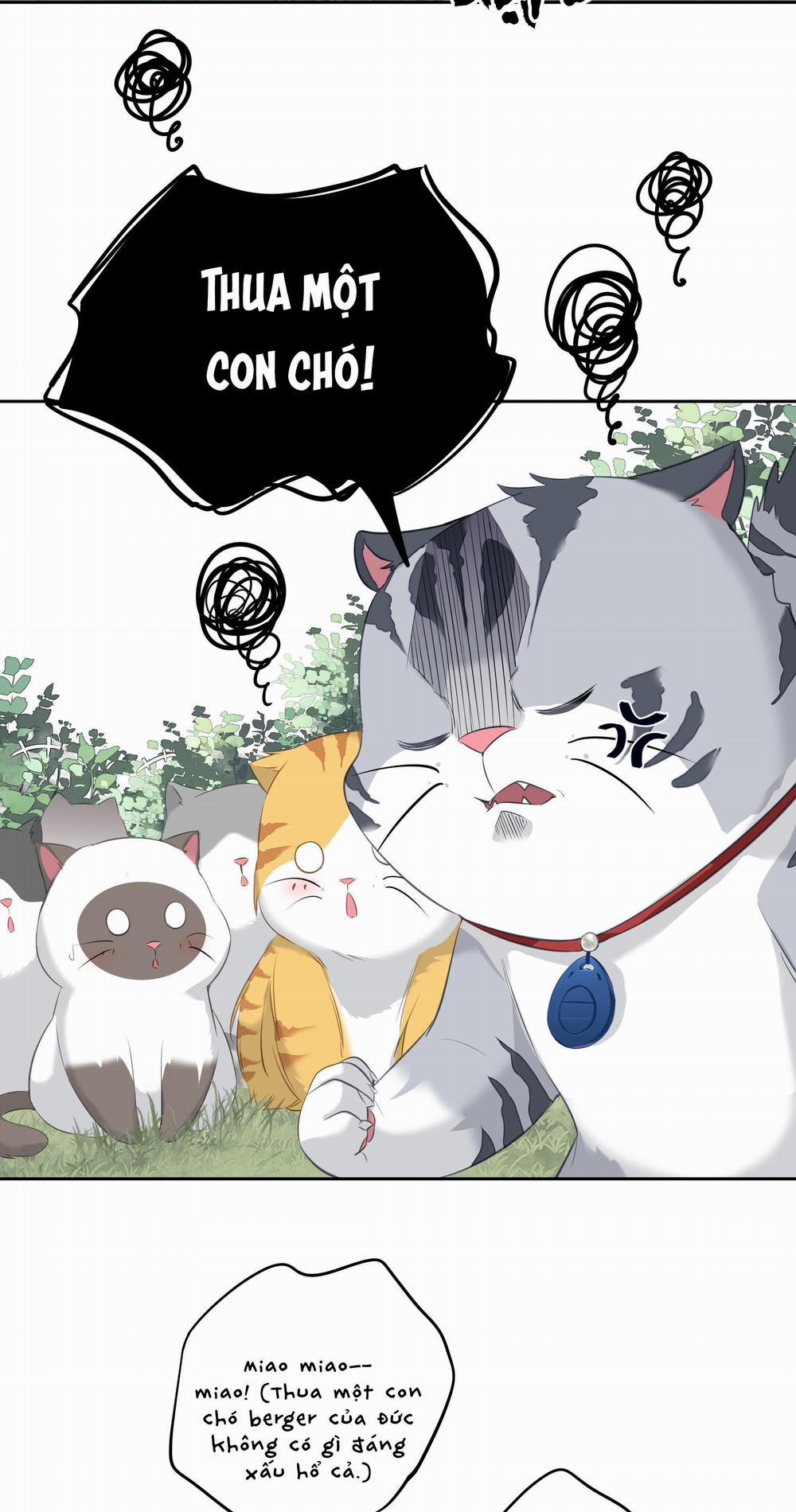 MỐI LIÊN HÔN KHÁC LOÀI 35 trang 42