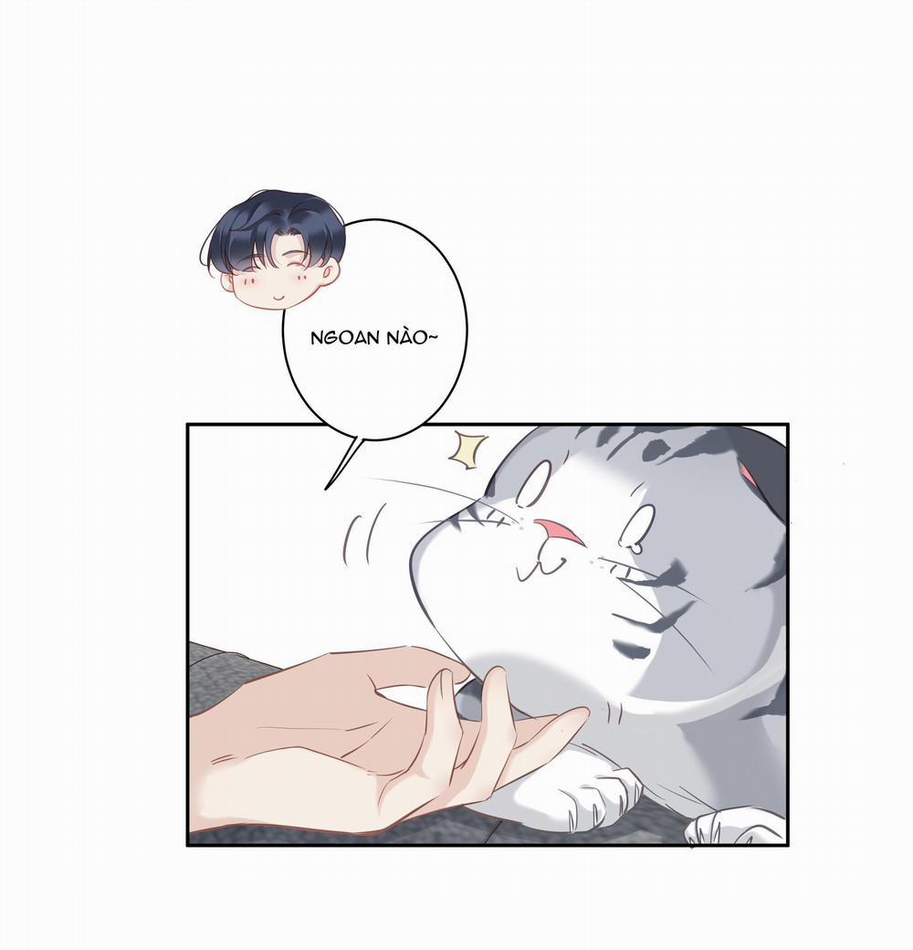 MỐI LIÊN HÔN KHÁC LOÀI 47 trang 37