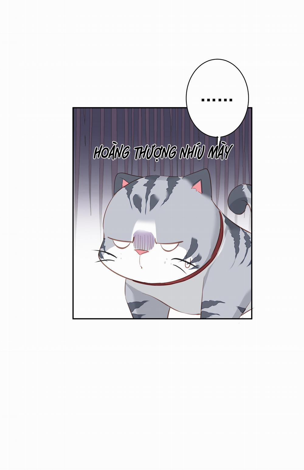 MỐI LIÊN HÔN KHÁC LOÀI 48 trang 13