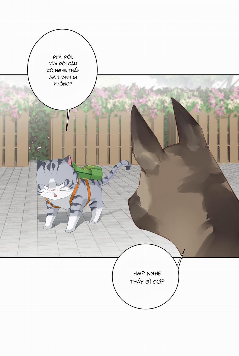 MỐI LIÊN HÔN KHÁC LOÀI 49 trang 34