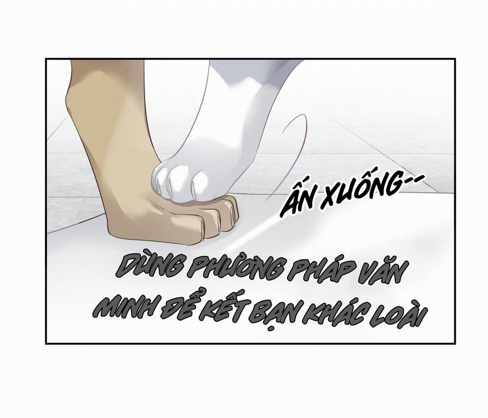 MỐI LIÊN HÔN KHÁC LOÀI 52 trang 28