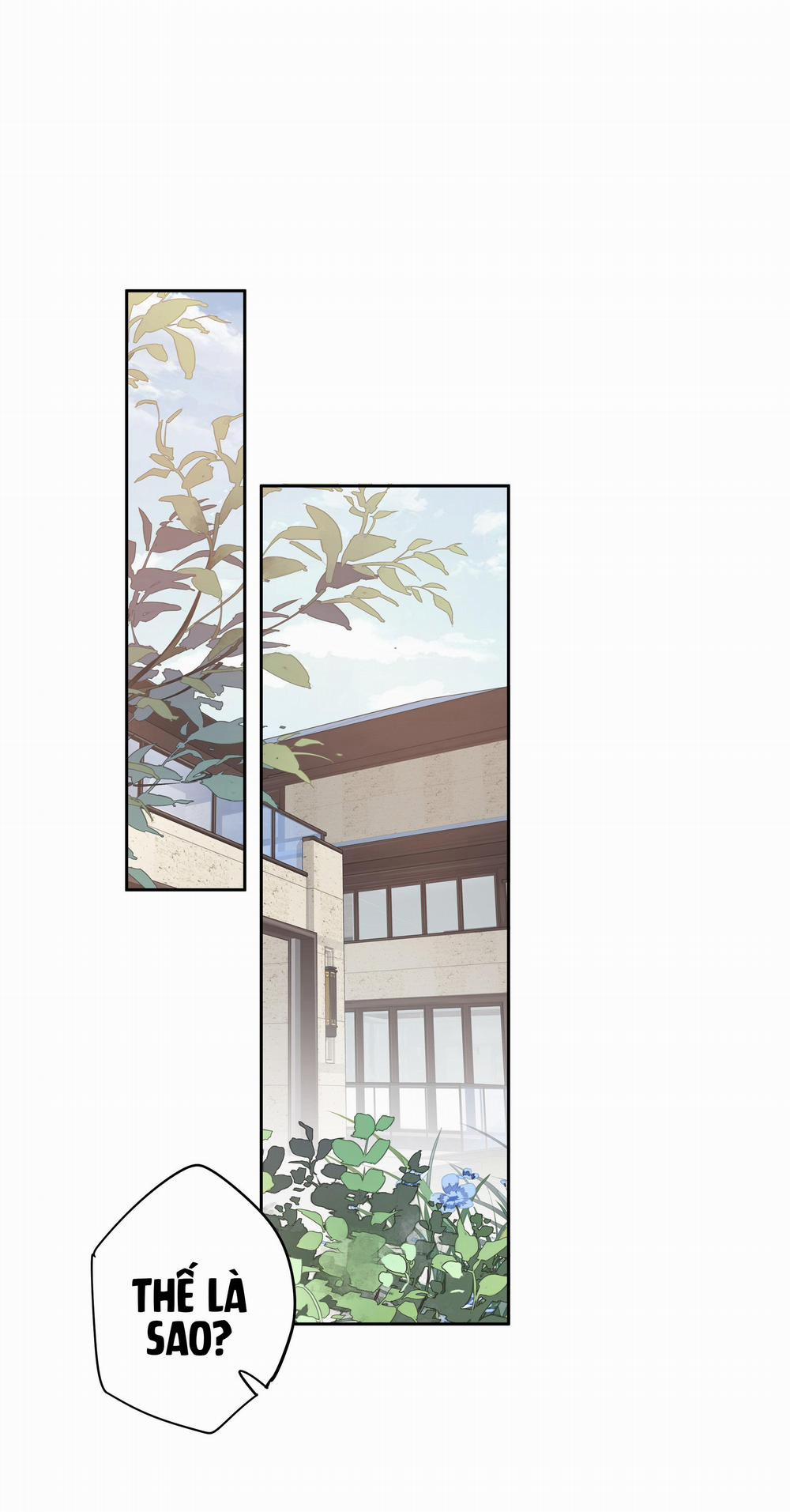 MỐI LIÊN HÔN KHÁC LOÀI 9 trang 19