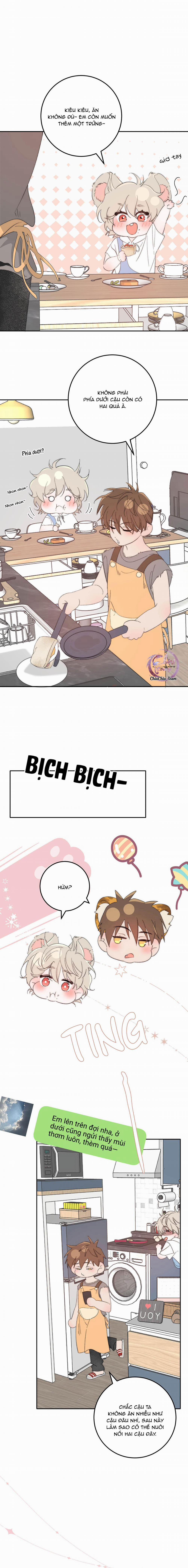 Mỗi Ngày Đều Muốn Làm Hoàng Tử Ốm Yếu Đội Quần 12 trang 0