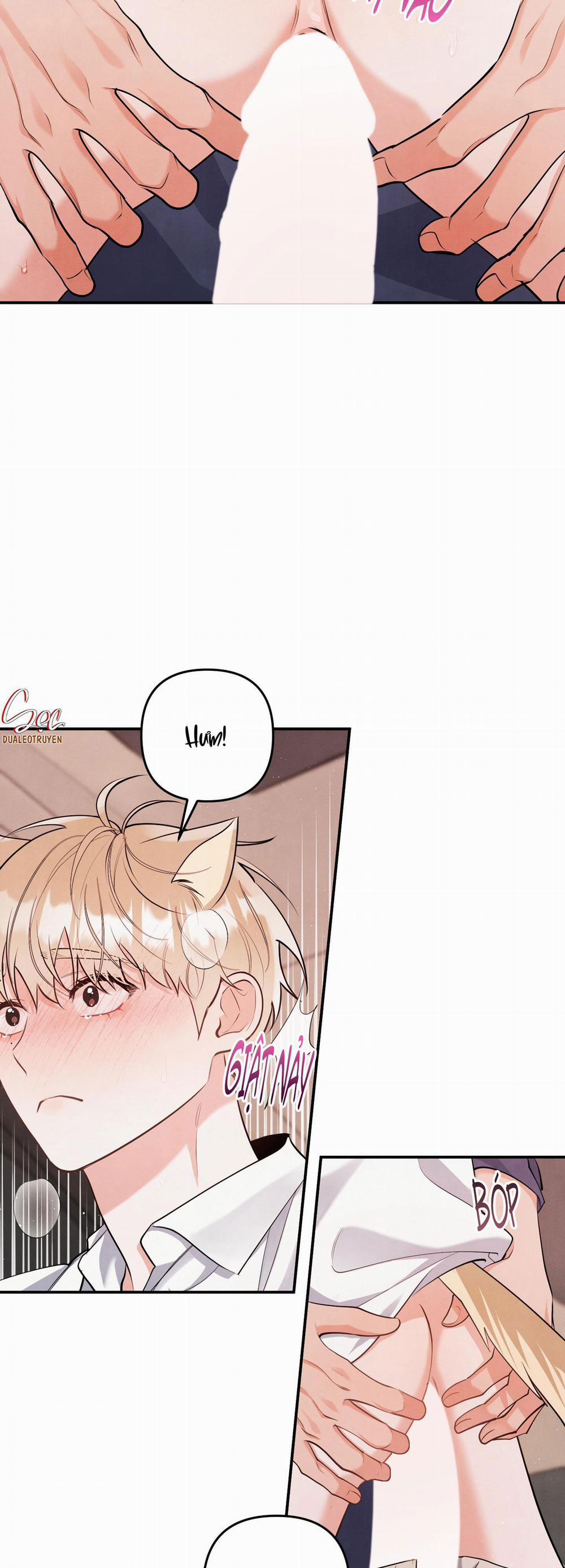 Mối Quan Hệ Của Thú Nhân 86 NGOẠI 10 trang 21