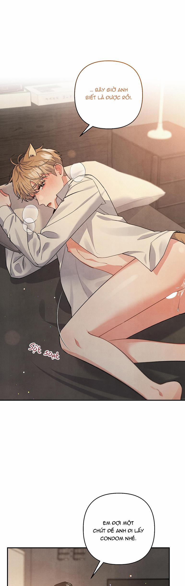 MỐI QUAN HỆ NGU NGỐC 62 0 59 trang 11