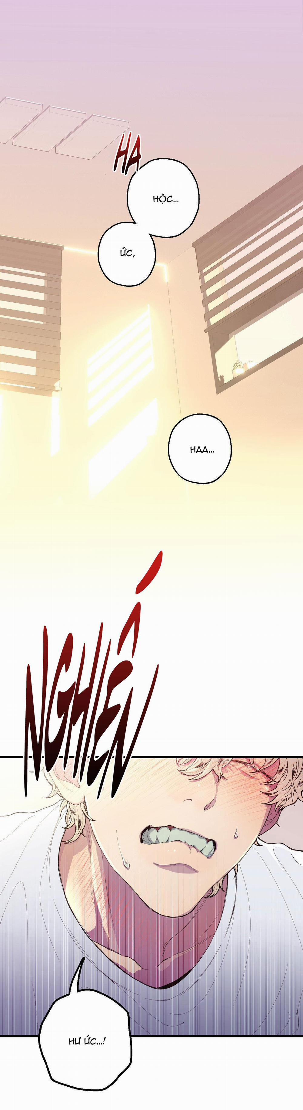 Mối Tình Bị Động 1 trang 0